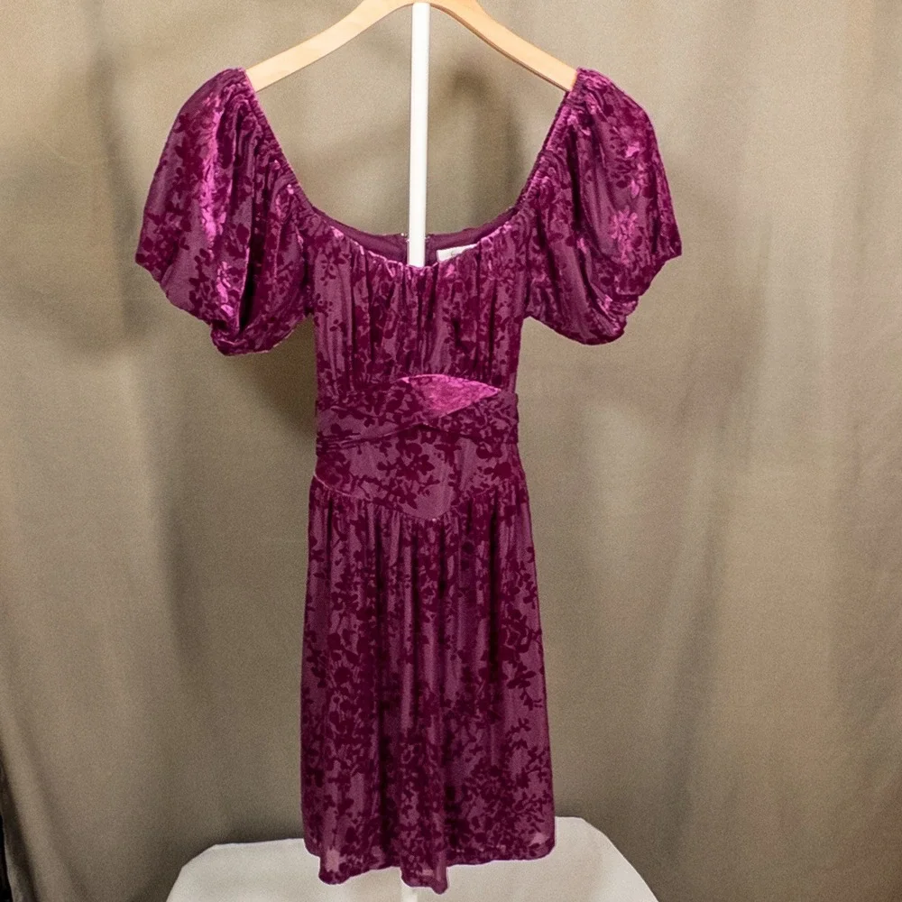 Francesca's Purple Velvet Burnout Mini Dress Size Small